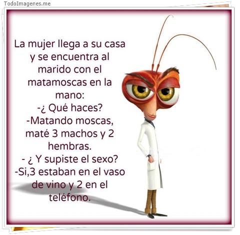 imagen de 3798-20160302-033945