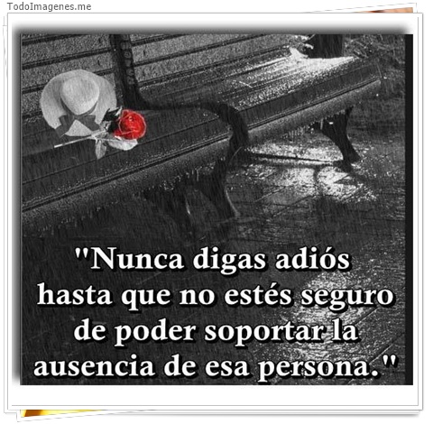 imagen de 4303-20160302-034007