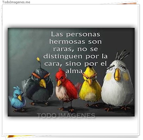 imagen de 7714-20160302-034252