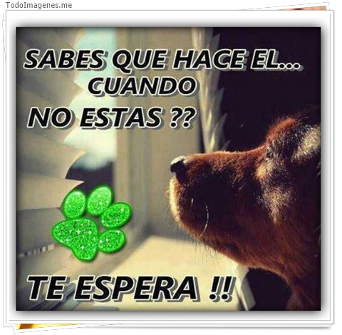 imagen de 4950-20160302-034036