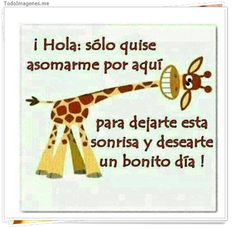 imagen de 3073-20160302-033911