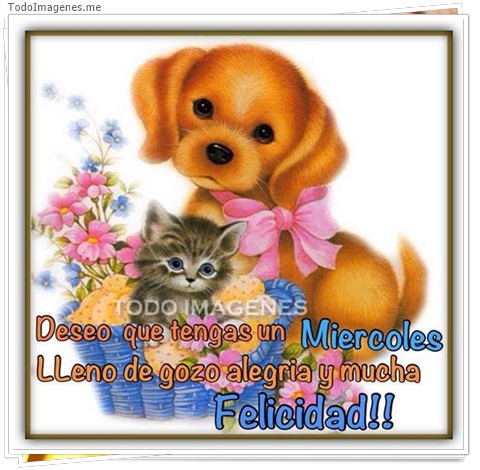 imagen de 9458-20160302-034447