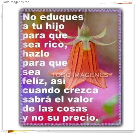 imagen de 8950-20160302-034414
