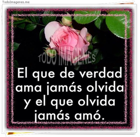 imagen de 2106-20160302-033827
