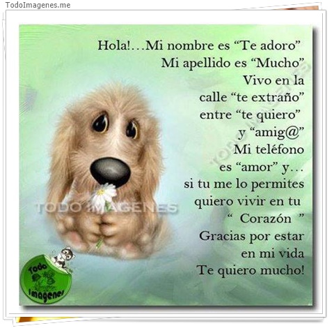 imagen de 8304-20160302-034332