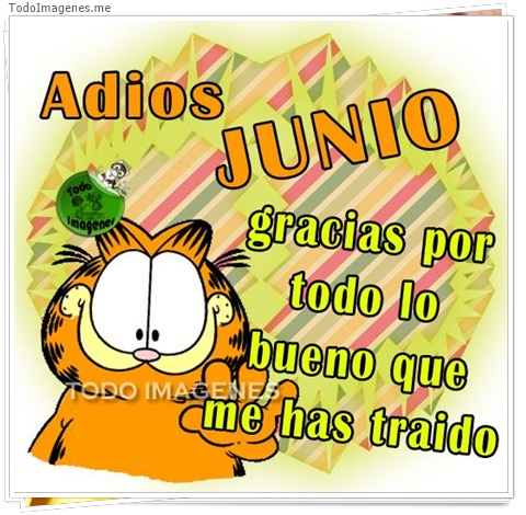 imagen de 5771-20160302-034113