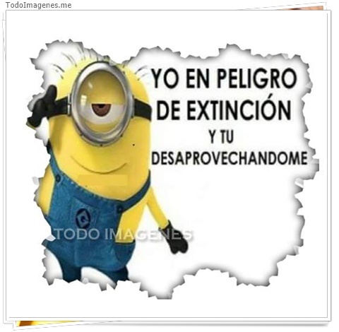 imagen de 4429-20160302-034012