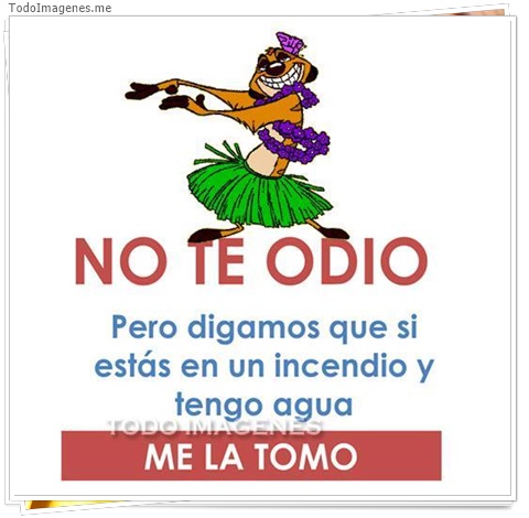 imagen de 2382-20160302-033839