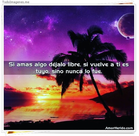 imagen de Si amas algo déjalo libre, si vuelves a ti es tuyo, sino nunca lo fue