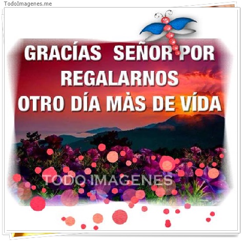 imagen de GRACIAS SEÑOR POR REGALARNOS OTRO DIA MAS DE VIA