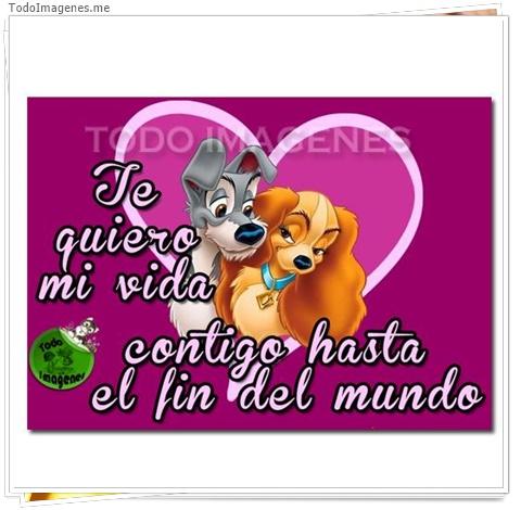 imagen de 2607-20160302-033849