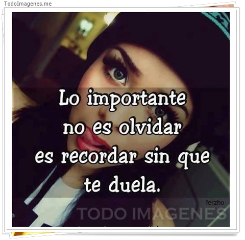 imagen de 2480-20160302-033844