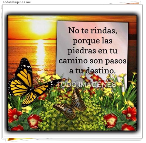 imagen de 6770-20160302-034200