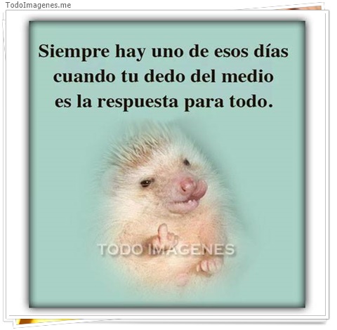 imagen de 3308-20160302-033922