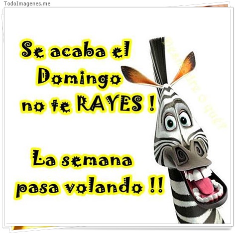 imagen de 8340-20160302-034335