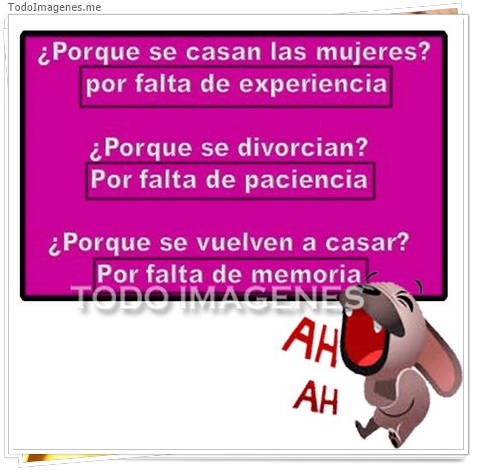 imagen de 11565-20160302-034719