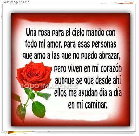 imagen de 3101-20160302-033913