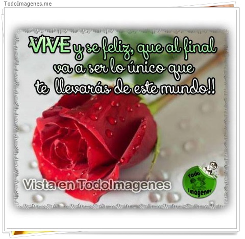 imagen de 11208-20160302-034655