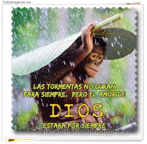 imagen de 10775-20160302-034625