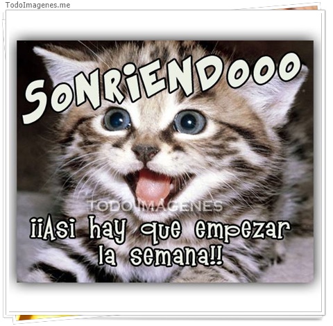 imagen de 7447-20160302-034236