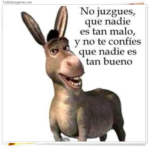 imagen de 5704-20160302-034111