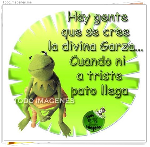 imagen de 6517-20160302-034148
