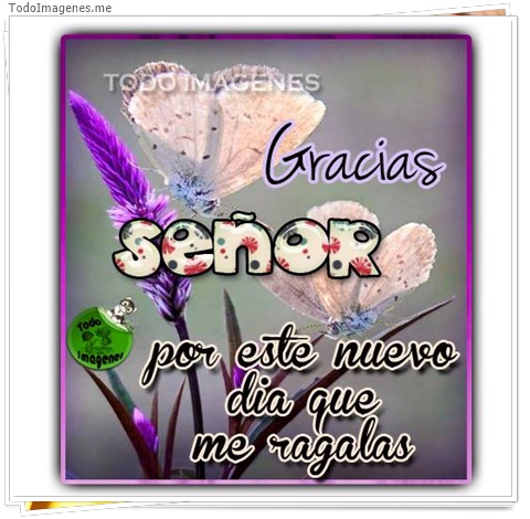 imagen de 9096-20160302-034423