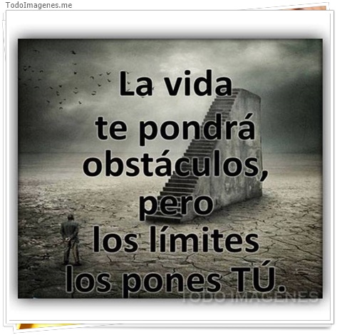 imagen de 9446-20160302-034446