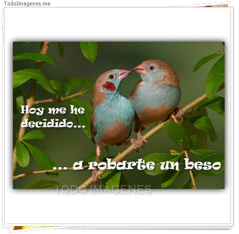 imagen de 4184-20160302-034002