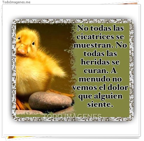 imagen de 4960-20160302-034036