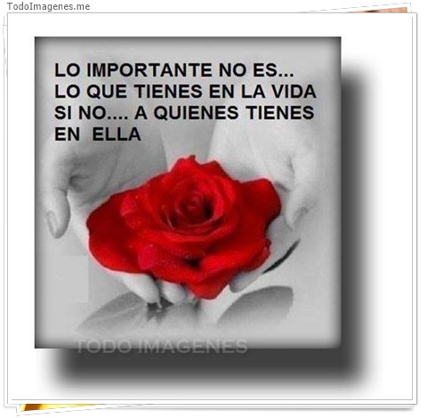 imagen de 8332-20160302-034334