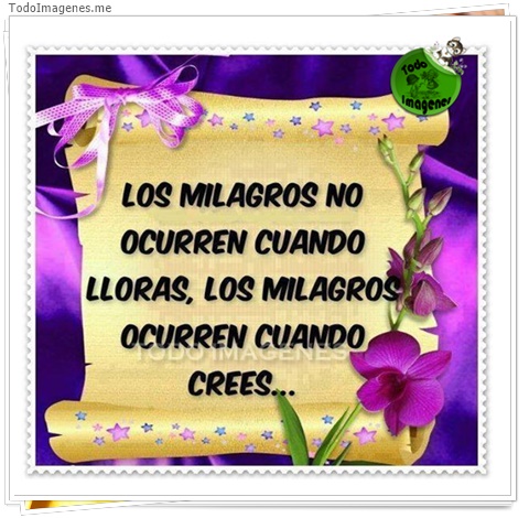 imagen de 2830-20160302-033900