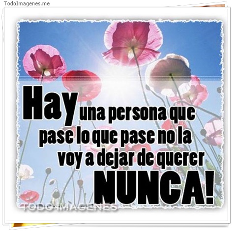imagen de 8606-20160302-034353