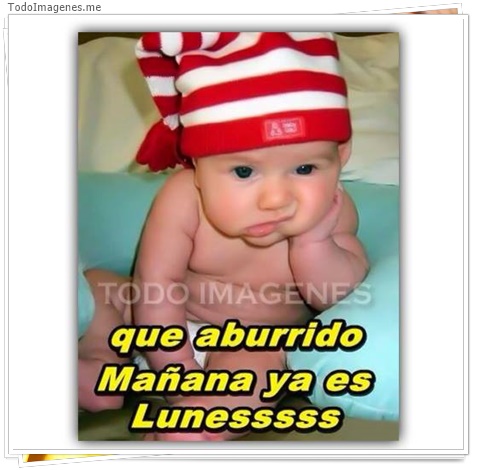 imagen de 2582-20160302-033848