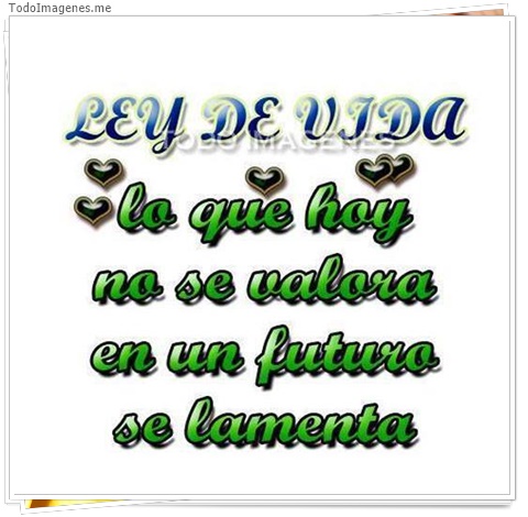 imagen de 6893-20160302-034206