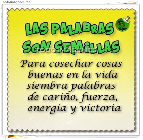 imagen de 6633-20160302-034153