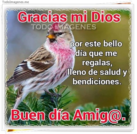 imagen de 11328-20160302-034702