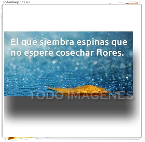 imagen de 9955-20160302-034524