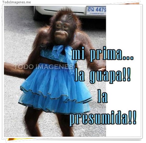 imagen de 5380-20160302-034055