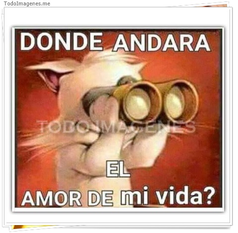 imagen de 2592-20160302-033848