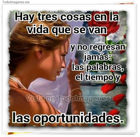 imagen de 10178-20160302-034542