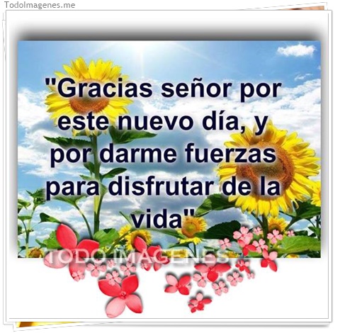 imagen de 014-20160810-120249