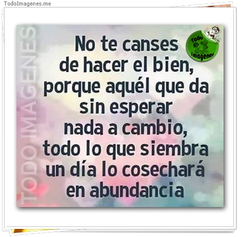 imagen de 2122-20160302-033828