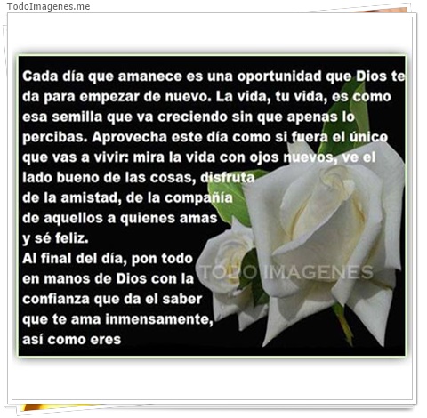 imagen de 8320-20160302-034333