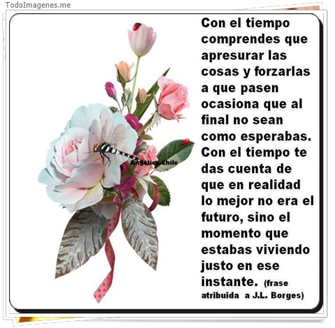 imagen de 4298-20160302-034007