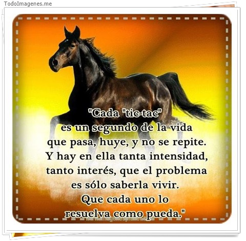 imagen de 4464-20160302-034013