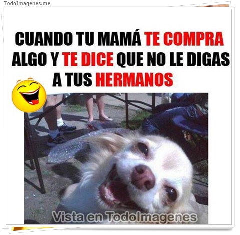 imagen de 10679-20160302-034618