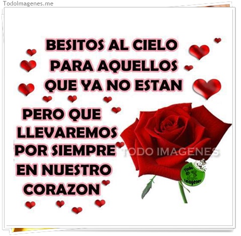 imagen de 268-20160810-120259