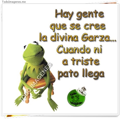 imagen de 10900-20160302-034635