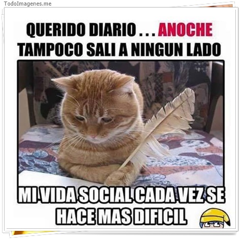 imagen de 4218-20160302-034003